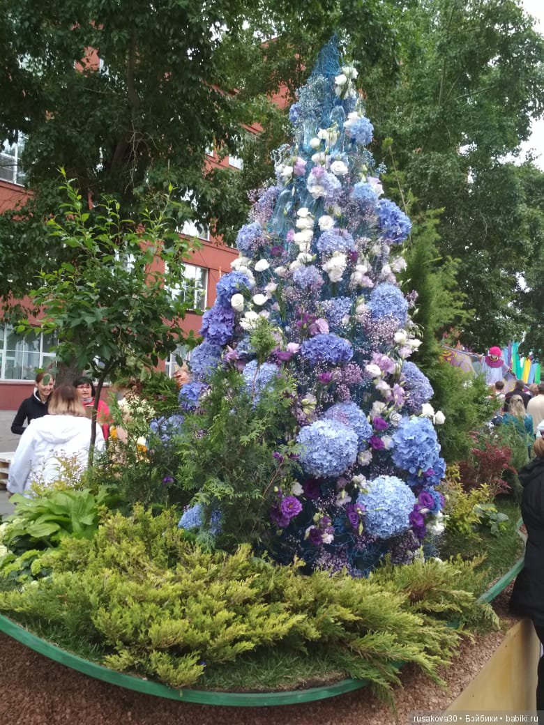 Лето,цветочные фестивали — Туризм и путешествия: фотоотчеты из поездок (фото 7)