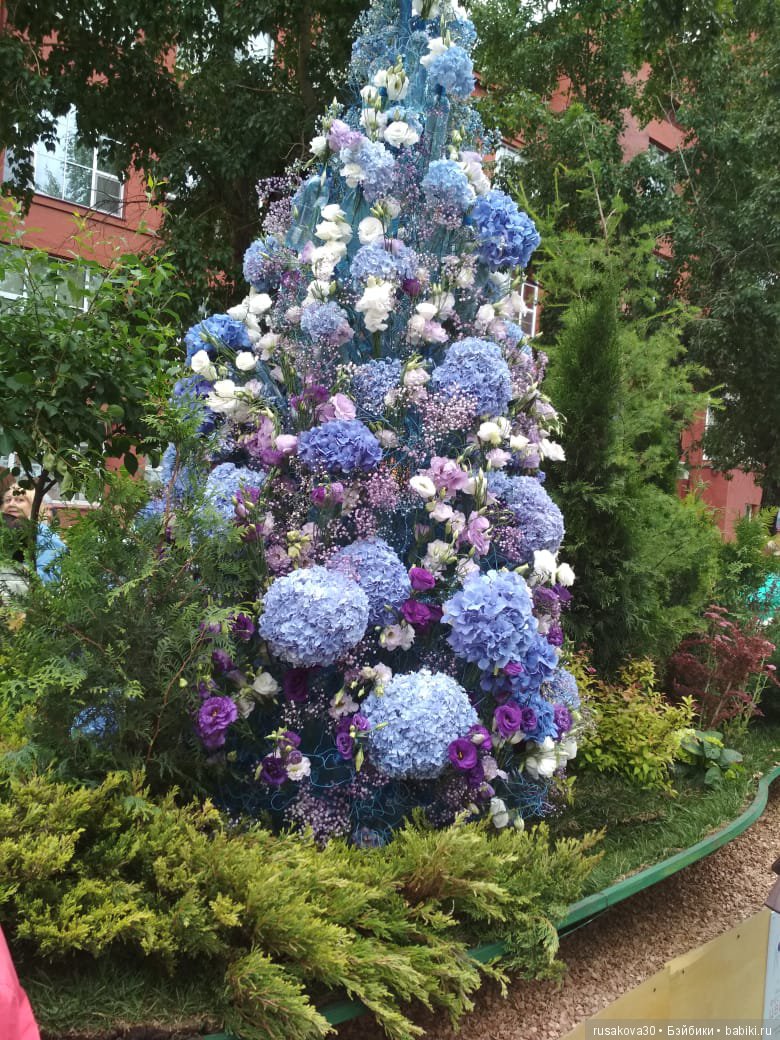 Лето,цветочные фестивали — Туризм и путешествия: фотоотчеты из поездок