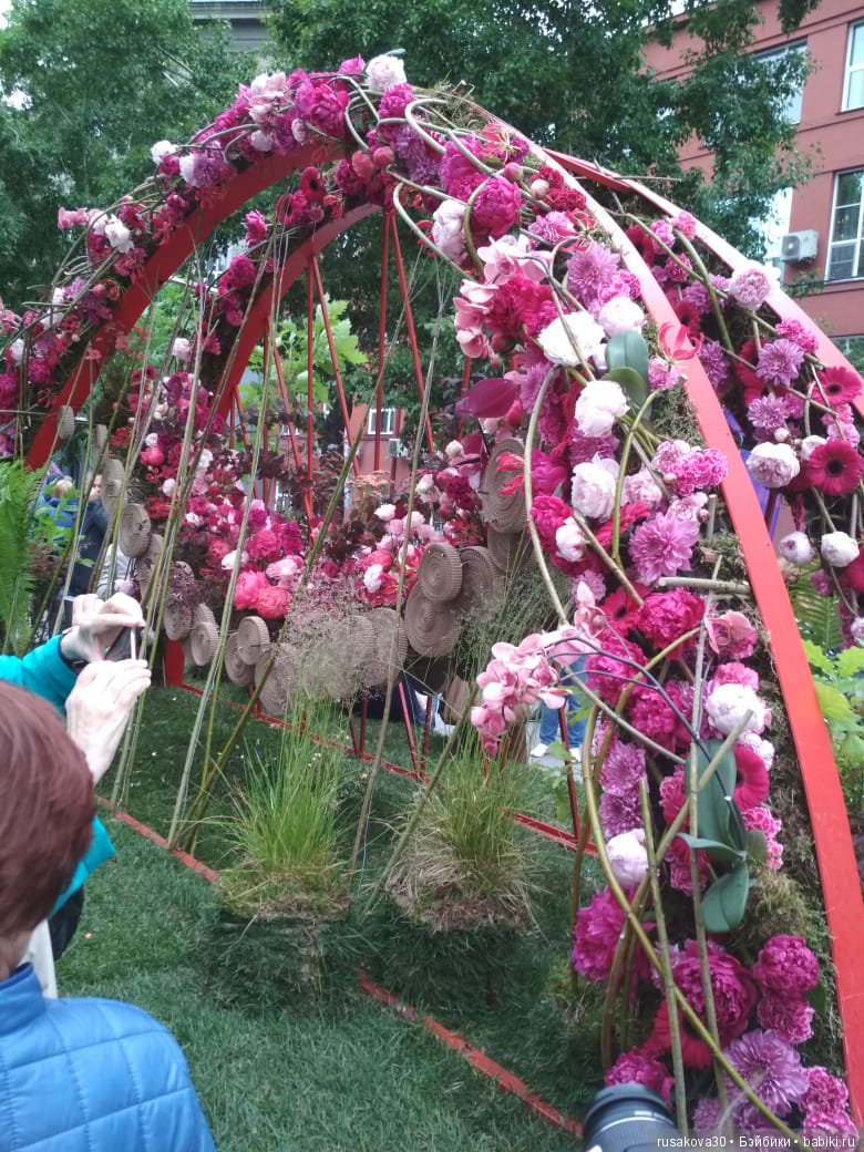 Лето,цветочные фестивали — Туризм и путешествия: фотоотчеты из поездок