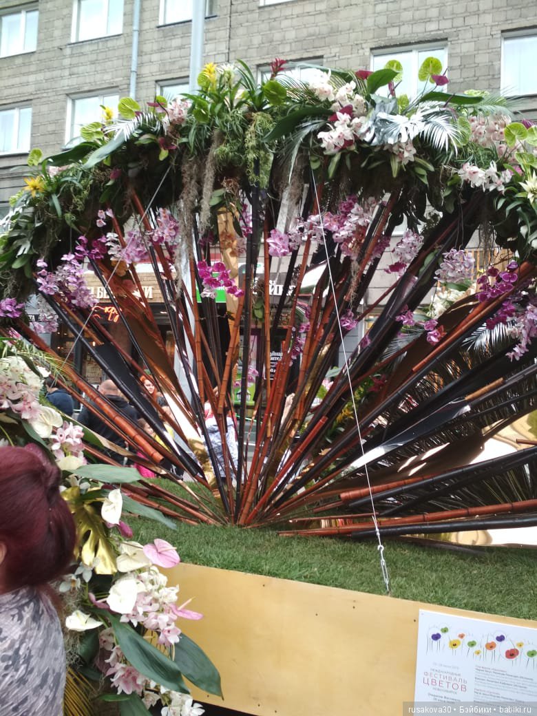 Лето,цветочные фестивали — Туризм и путешествия: фотоотчеты из поездок (фото 4)