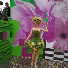 Лето,цветочные фестивали