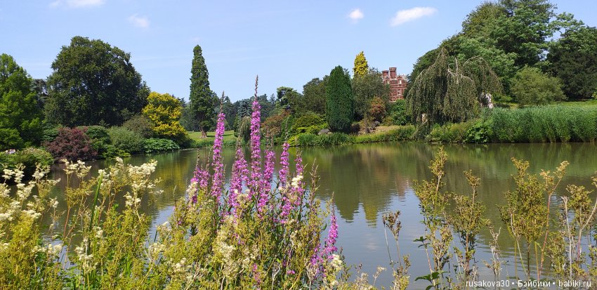 Выставка цветов в королевском поместье в Сандрингеме