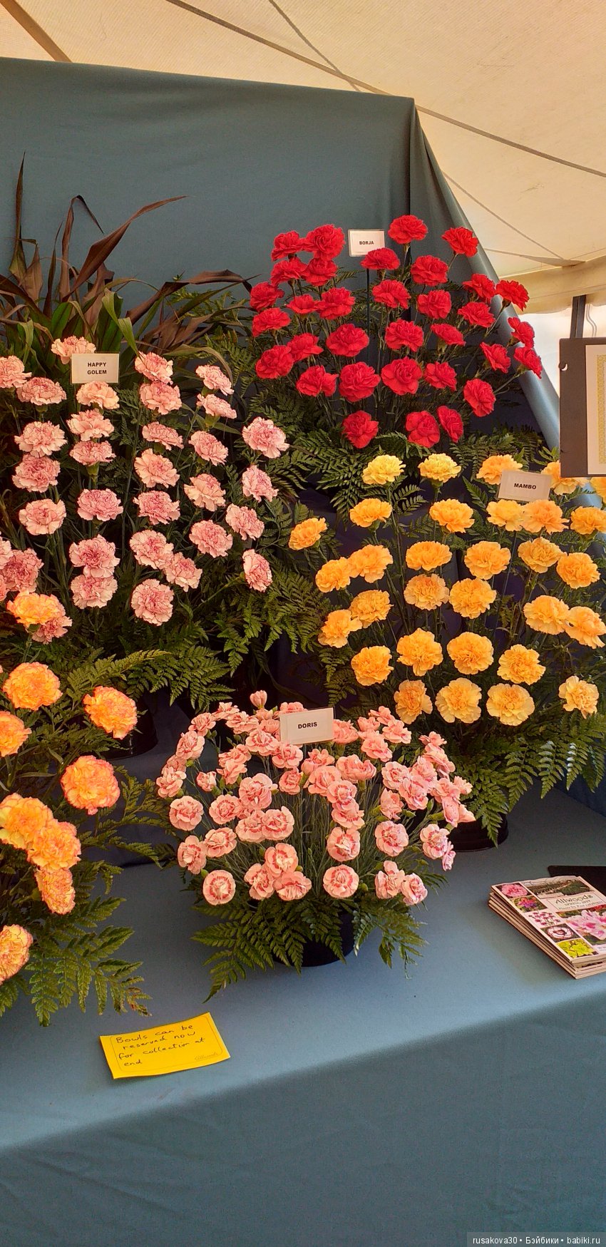 Выставка цветов в королевском поместье в Сандрингеме (фото 9)