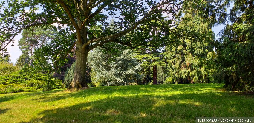 Выставка цветов в королевском поместье в Сандрингеме