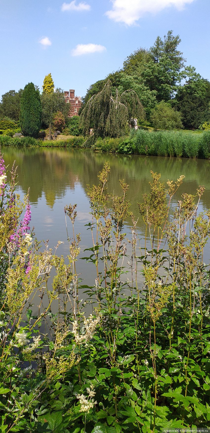 Выставка цветов в королевском поместье в Сандрингеме