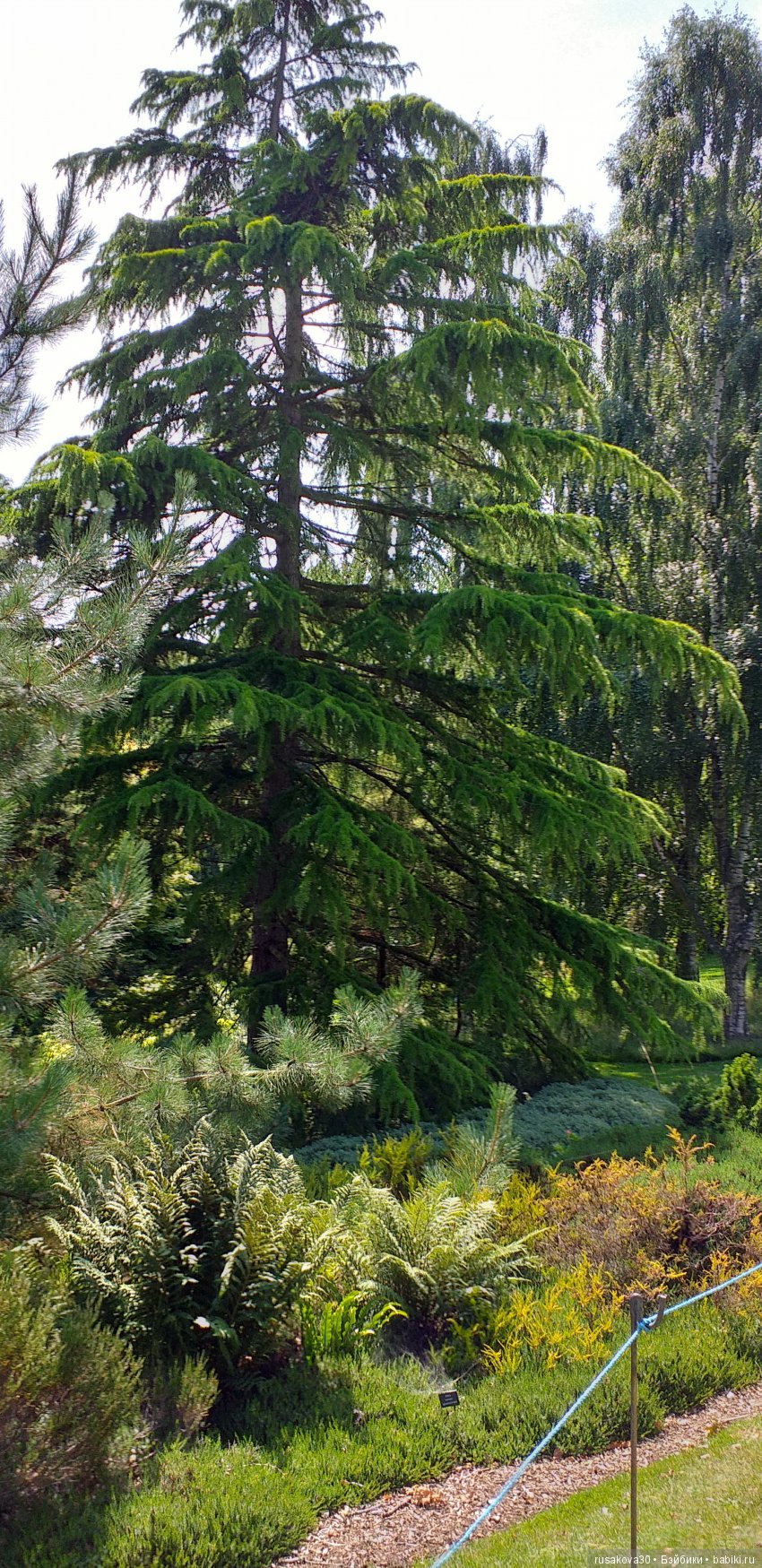 Выставка цветов в королевском поместье в Сандрингеме