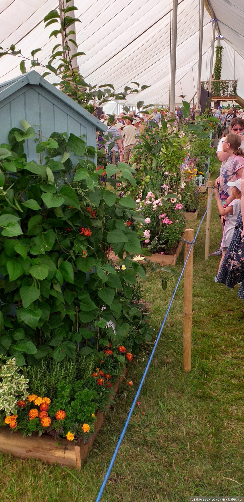 Выставка цветов в королевском поместье в Сандрингеме