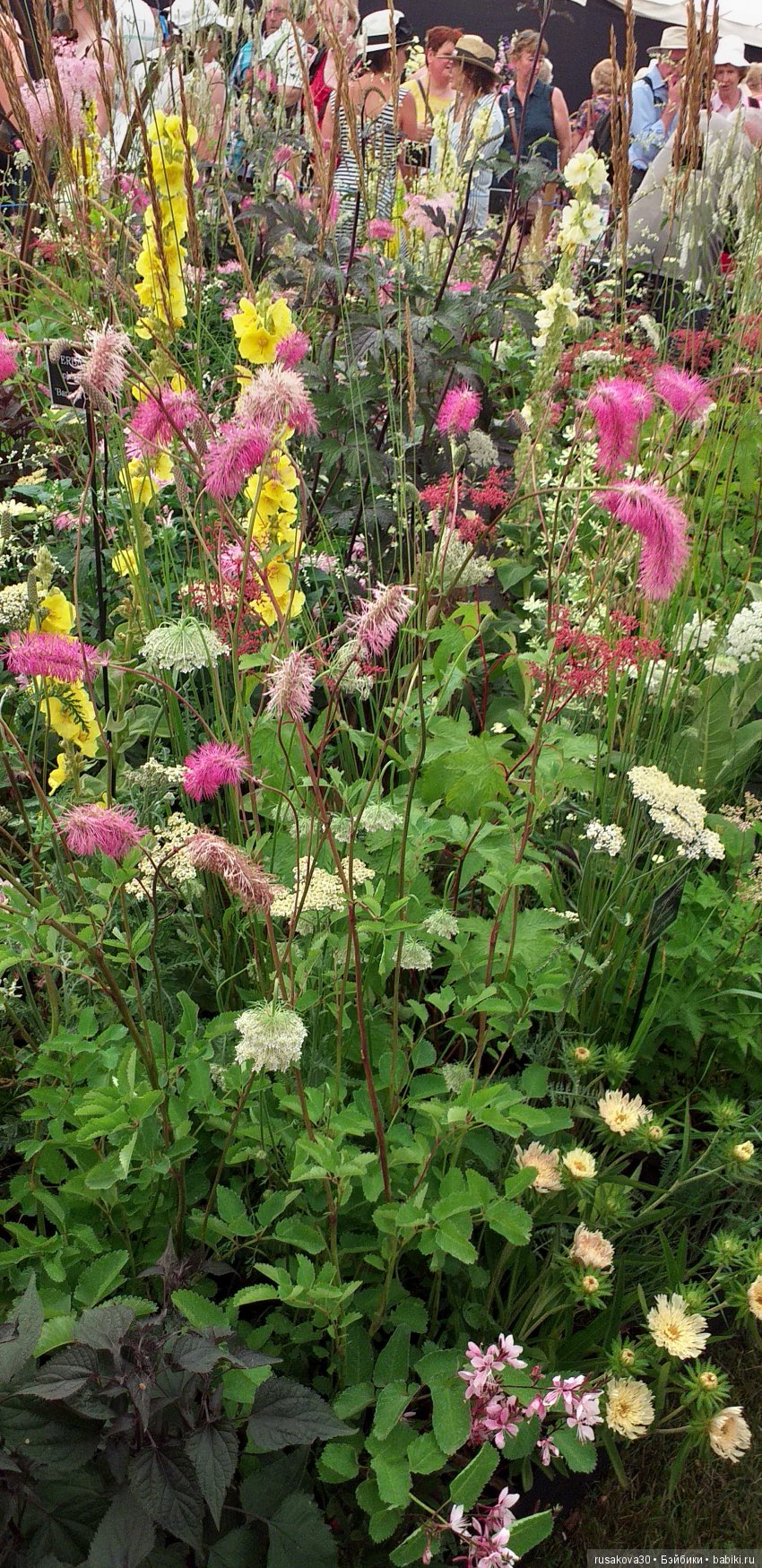 Выставка цветов в королевском поместье в Сандрингеме (фото 10)