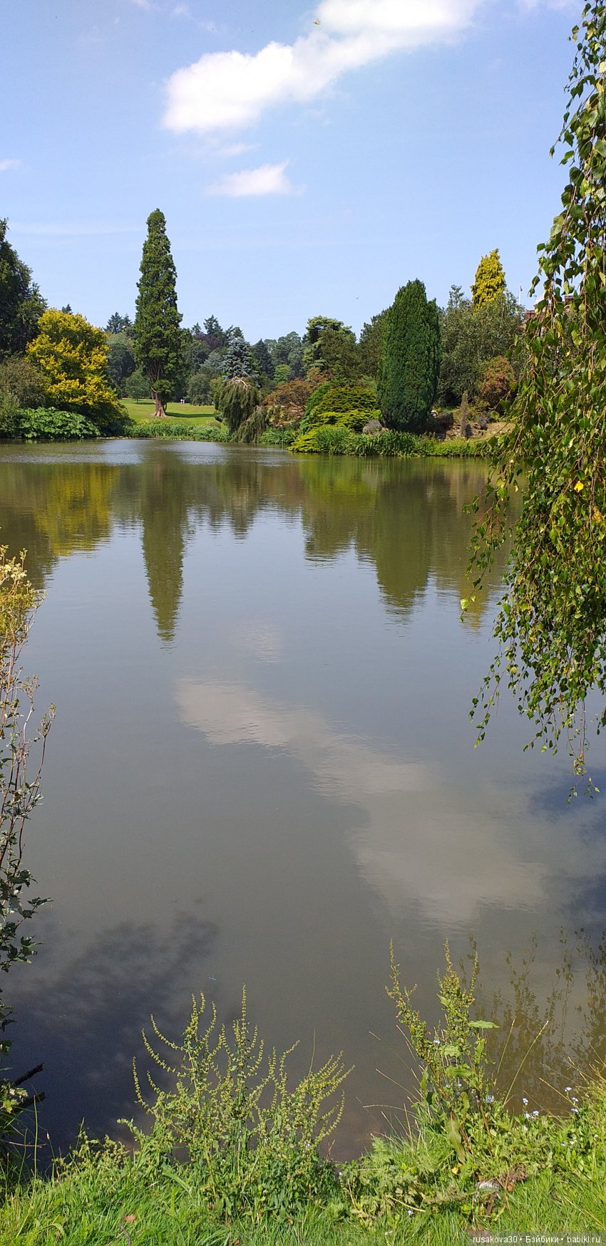Выставка цветов в королевском поместье в Сандрингеме