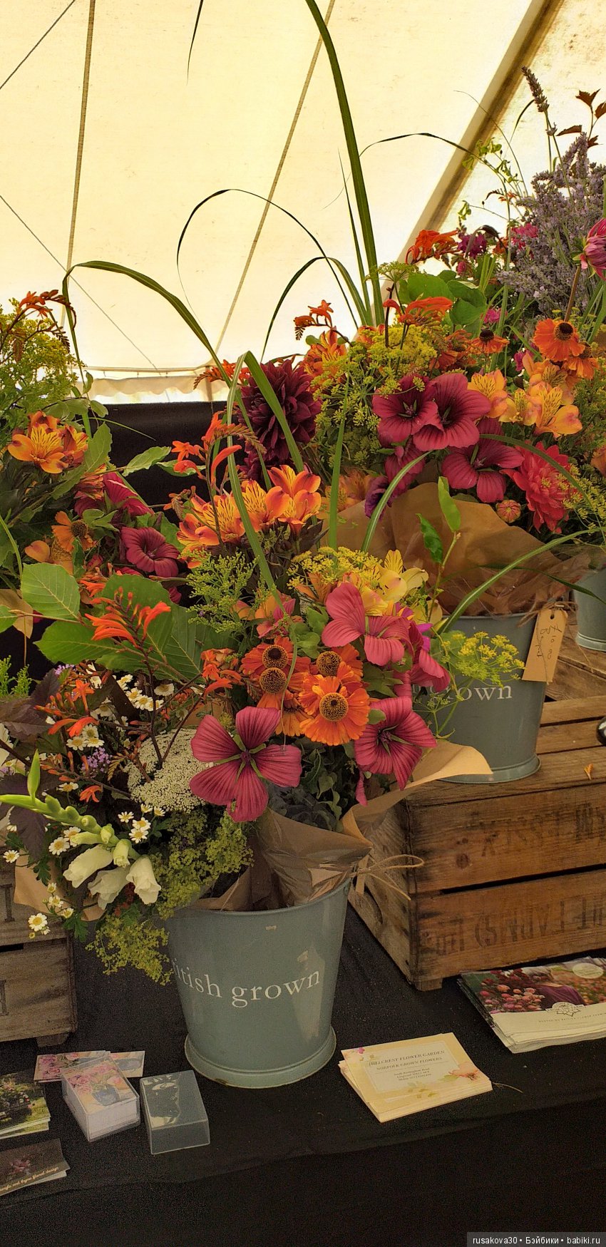 Выставка цветов в королевском поместье в Сандрингеме