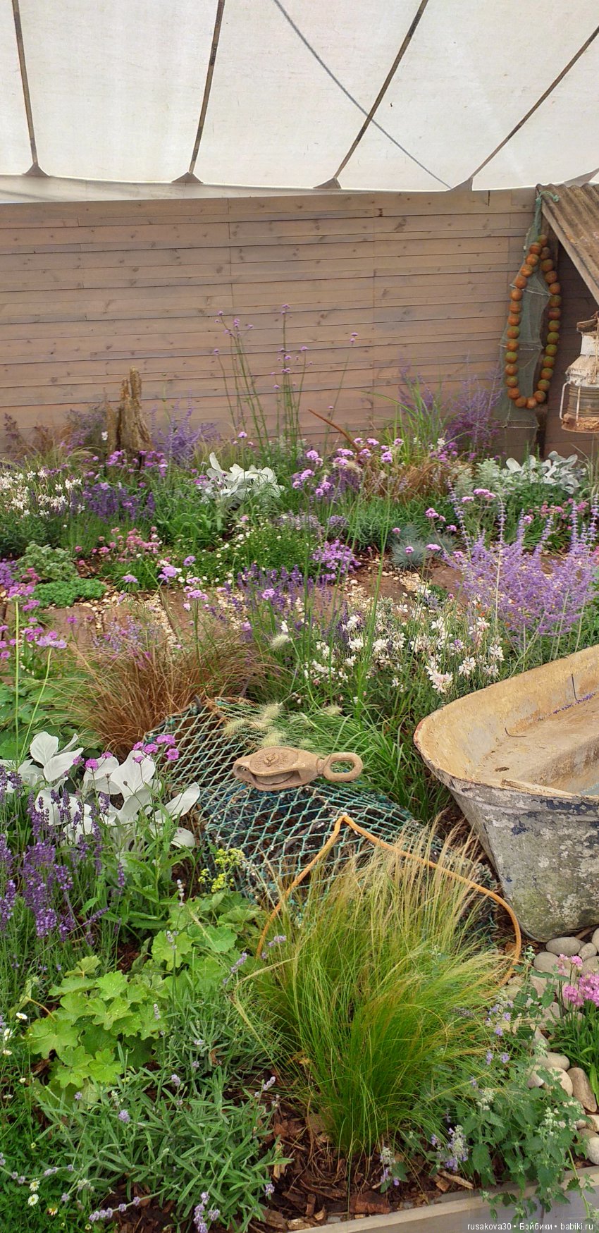 Выставка цветов в королевском поместье в Сандрингеме