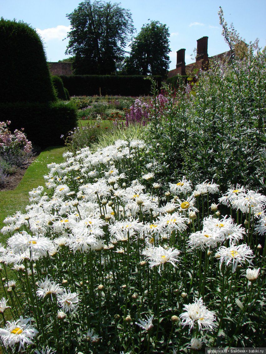 Старинные английские поместья, Blickling Estate. (продолжение) (фото 7)