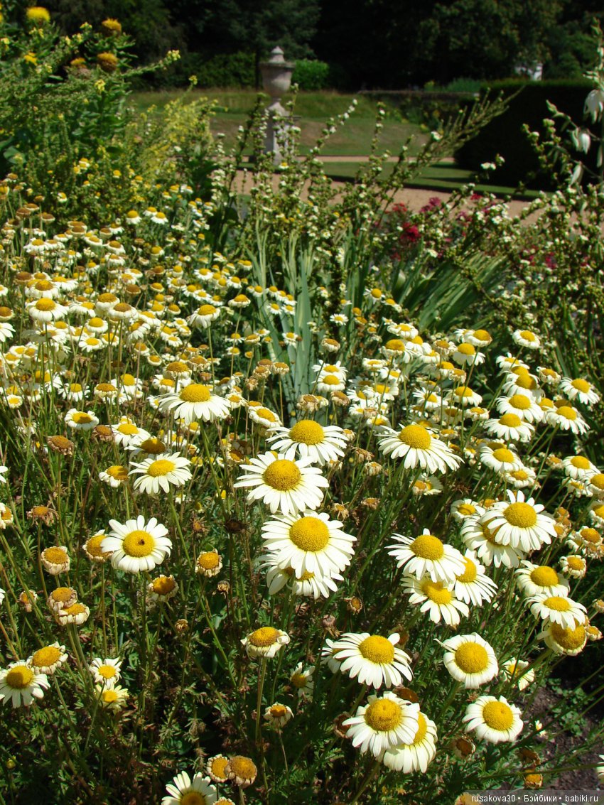 Старинные английские поместья, Blickling Estate. (продолжение)
