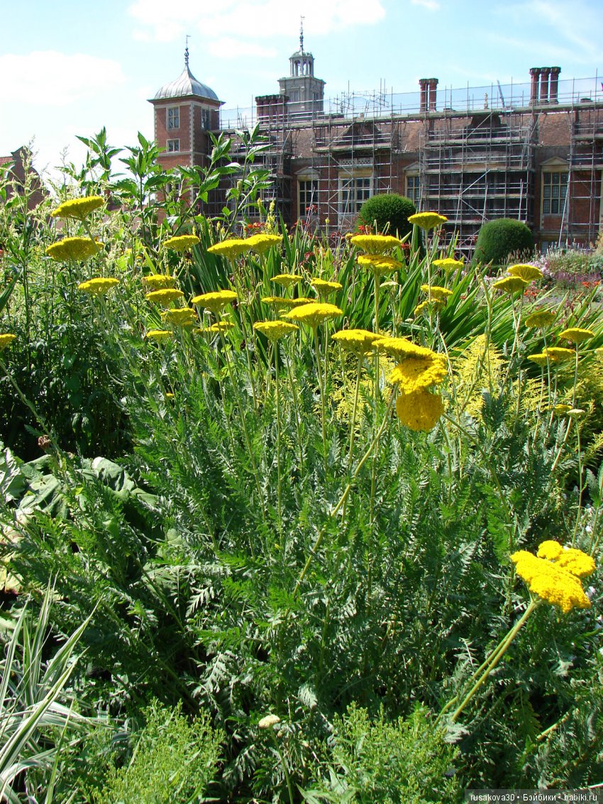 Старинные английские поместья, Blickling Estate. (продолжение)