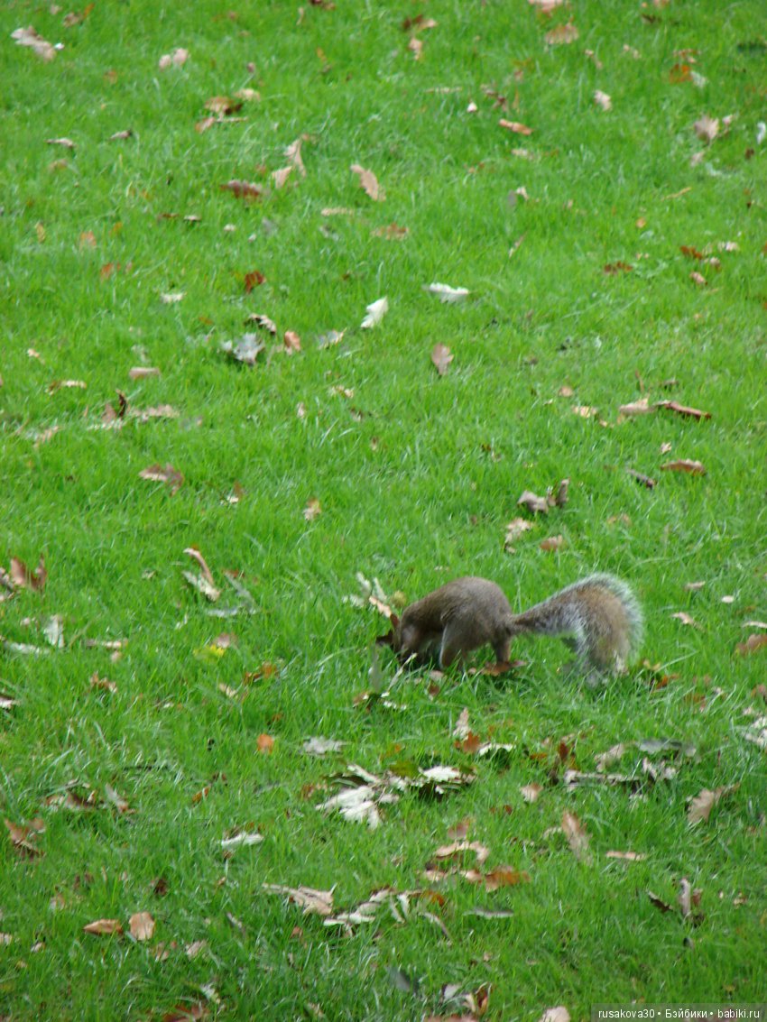 Одну Машку беру, на вторую смотрю, а третья, четвертая мерещатся
