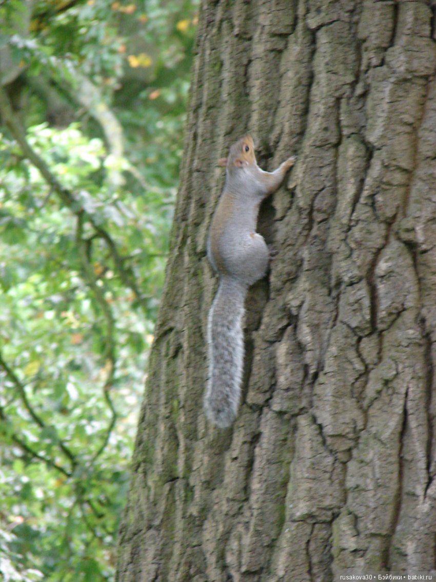 Одну Машку беру, на вторую смотрю, а третья, четвертая мерещатся