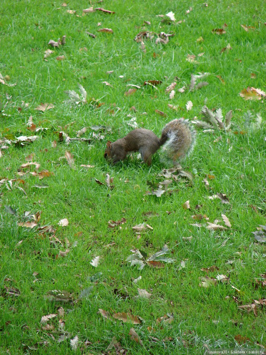 Одну Машку беру, на вторую смотрю, а третья, четвертая мерещатся