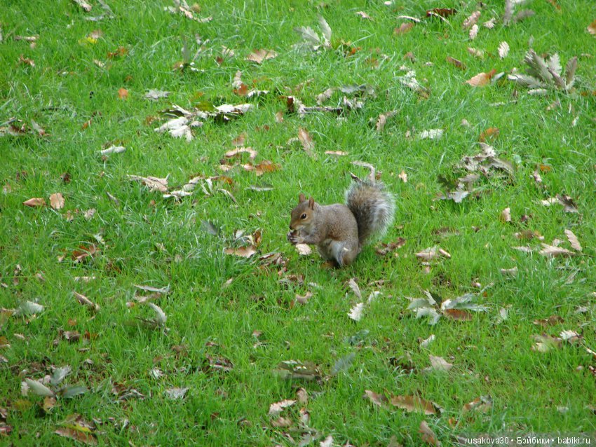 Одну Машку беру, на вторую смотрю, а третья, четвертая мерещатся