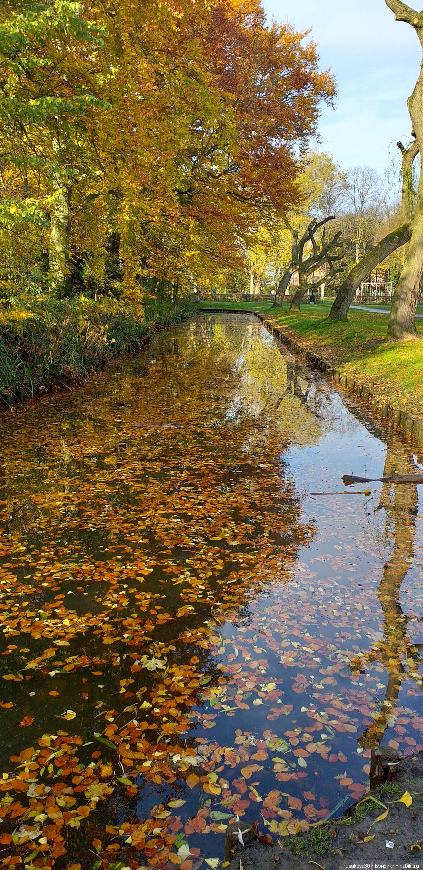 Осень, рыженькая осень — Новости конкурсов: план на год