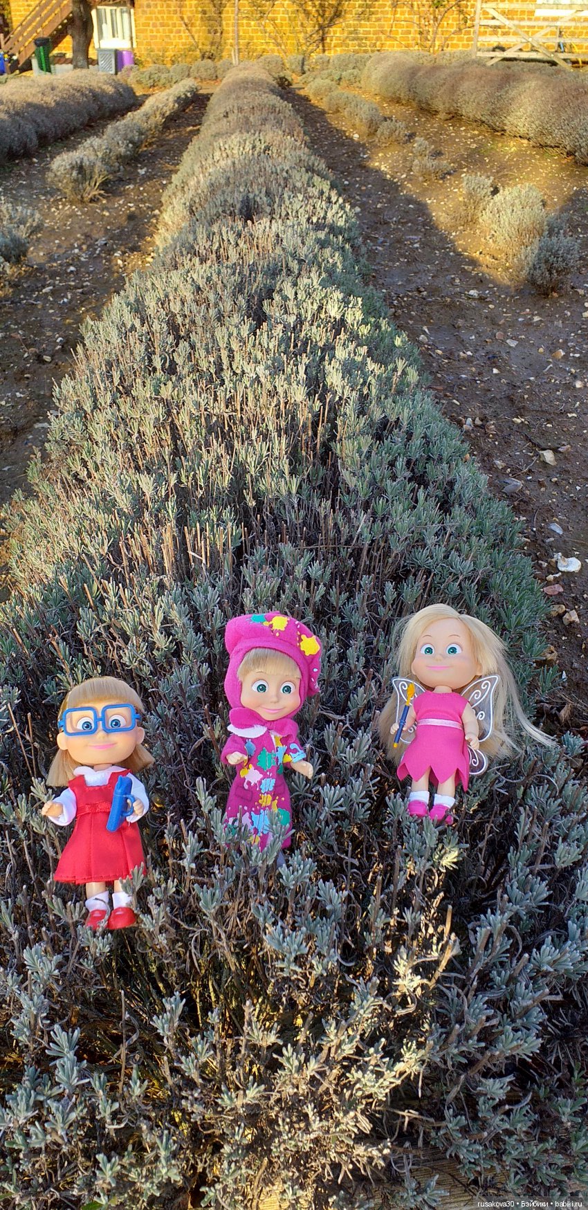 Машки, Машки и опять Машки