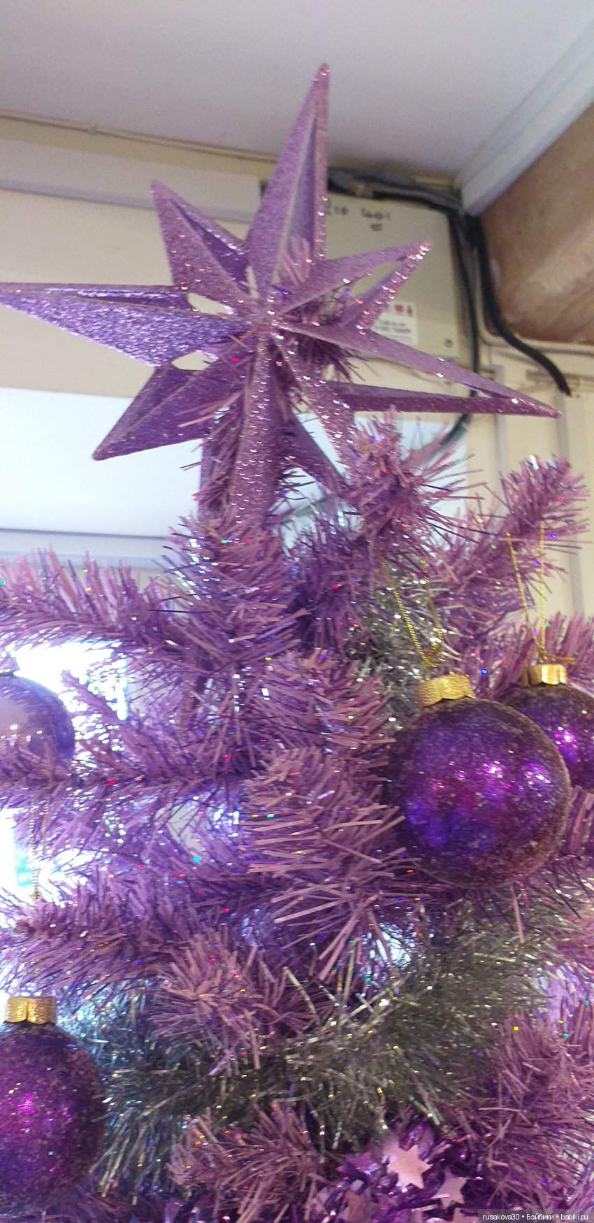 Машки, Машки и опять Машки