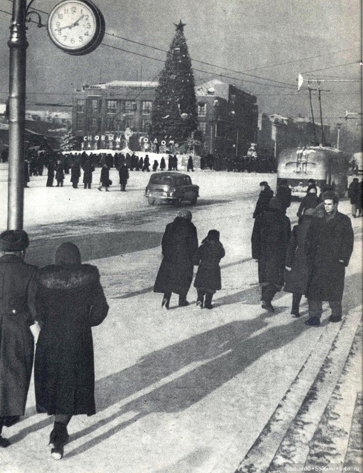 Новосибирск, новогодние елки (фото 2)