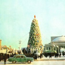 Новосибирск, новогодние елки