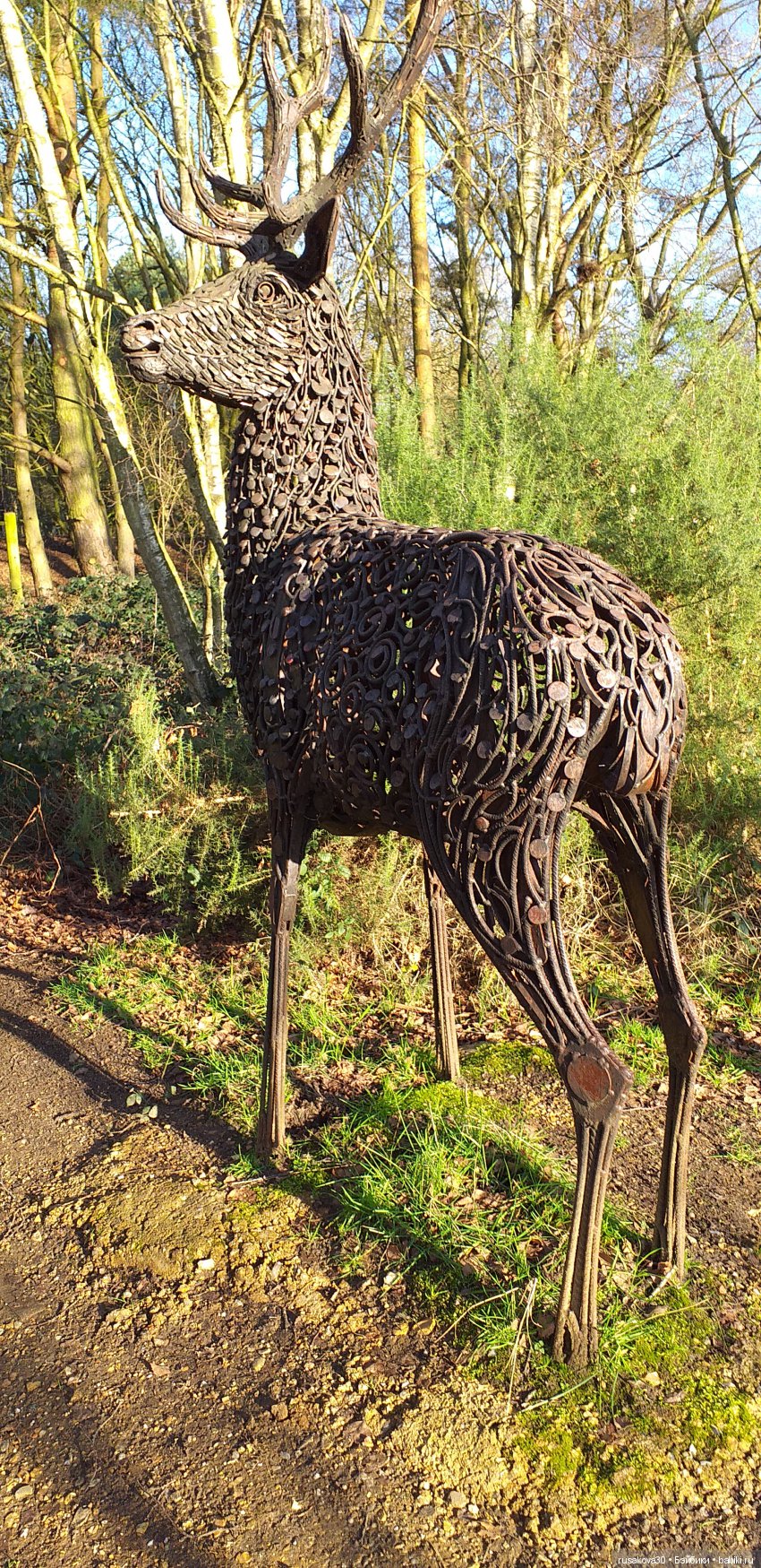 Маленький заповедник Pensthorpe (фото 10)