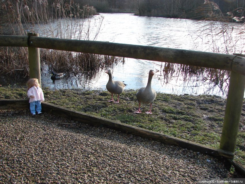Маленький заповедник Pensthorpe