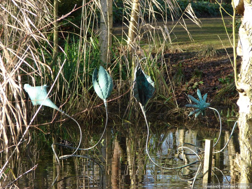Маленький заповедник Pensthorpe