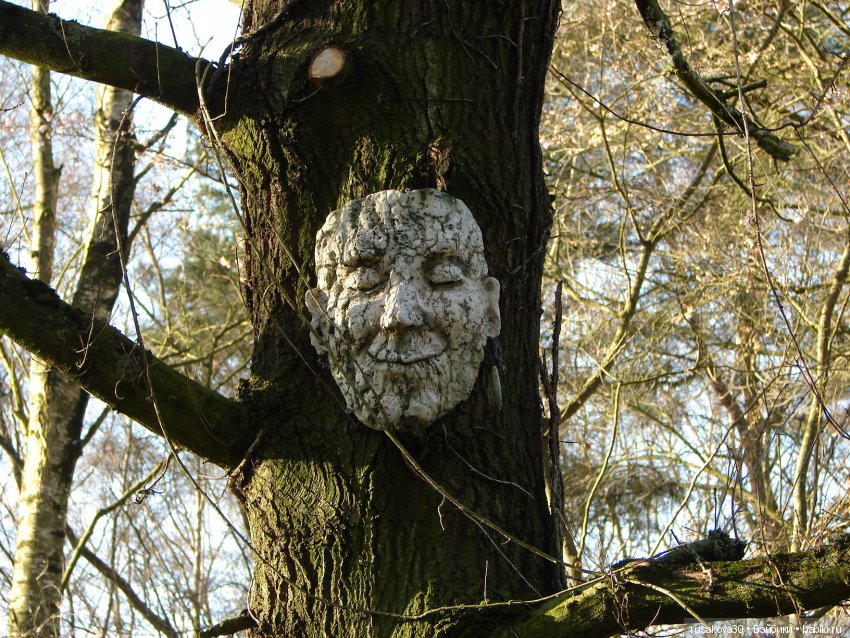 Маленький заповедник Pensthorpe