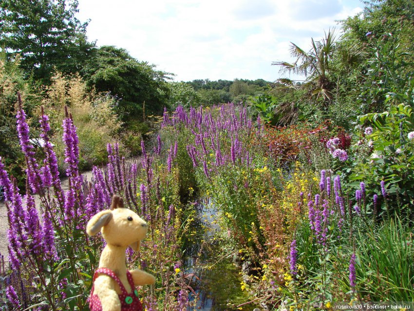 Маленький заповедник Pensthorpe (фото 4)