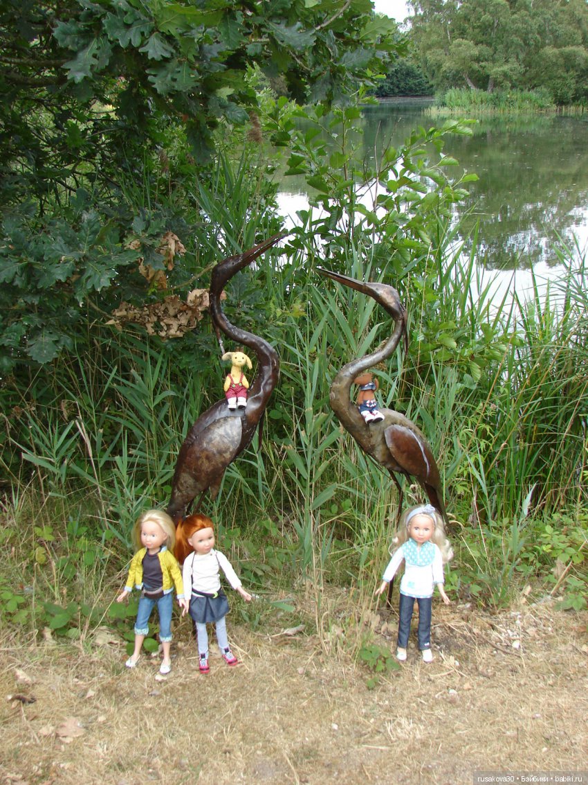 Маленький заповедник Pensthorpe (фото 7)