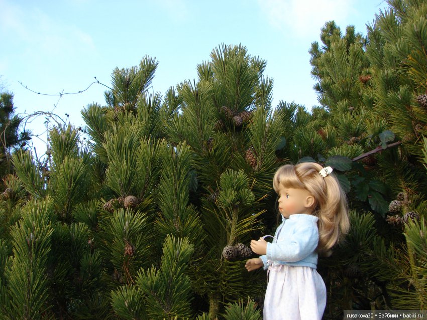 Маленький заповедник Pensthorpe