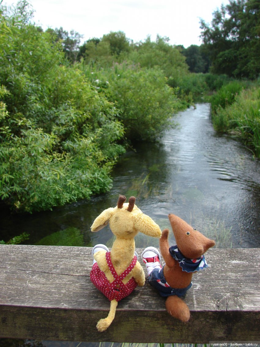 Маленький заповедник Pensthorpe (фото 8)