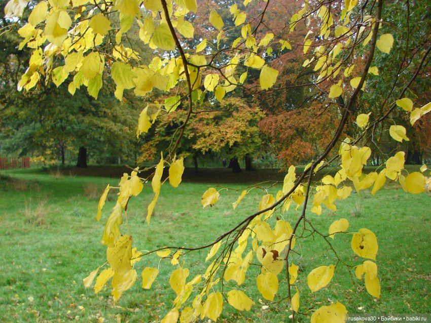 Маленький английский городок Kings Lynn