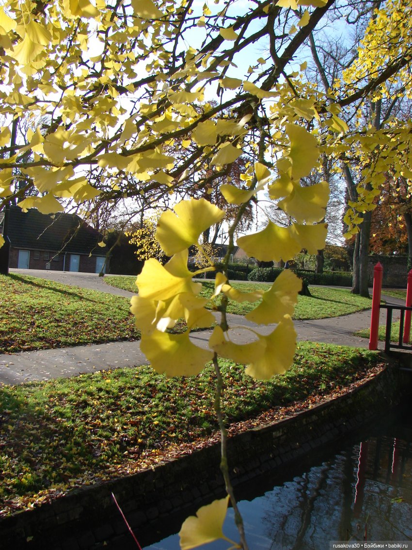 Маленький английский городок Kings Lynn