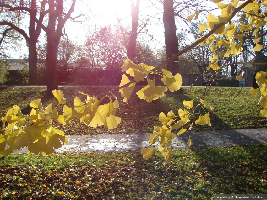 Маленький английский городок Kings Lynn