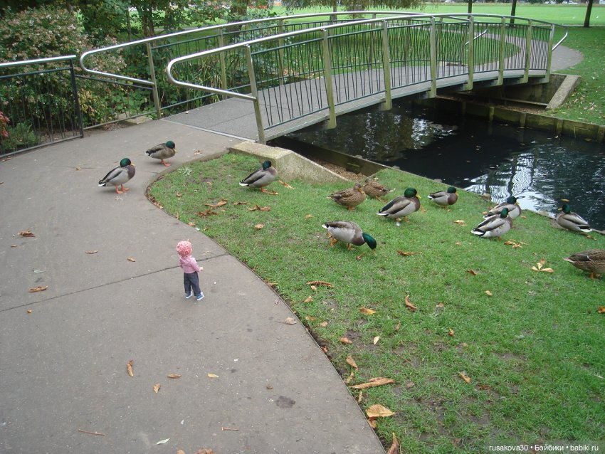 Маленький английский городок Kings Lynn