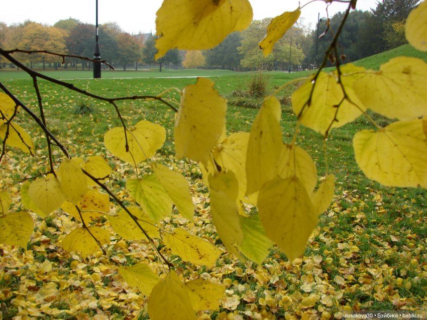 Маленький английский городок Kings Lynn