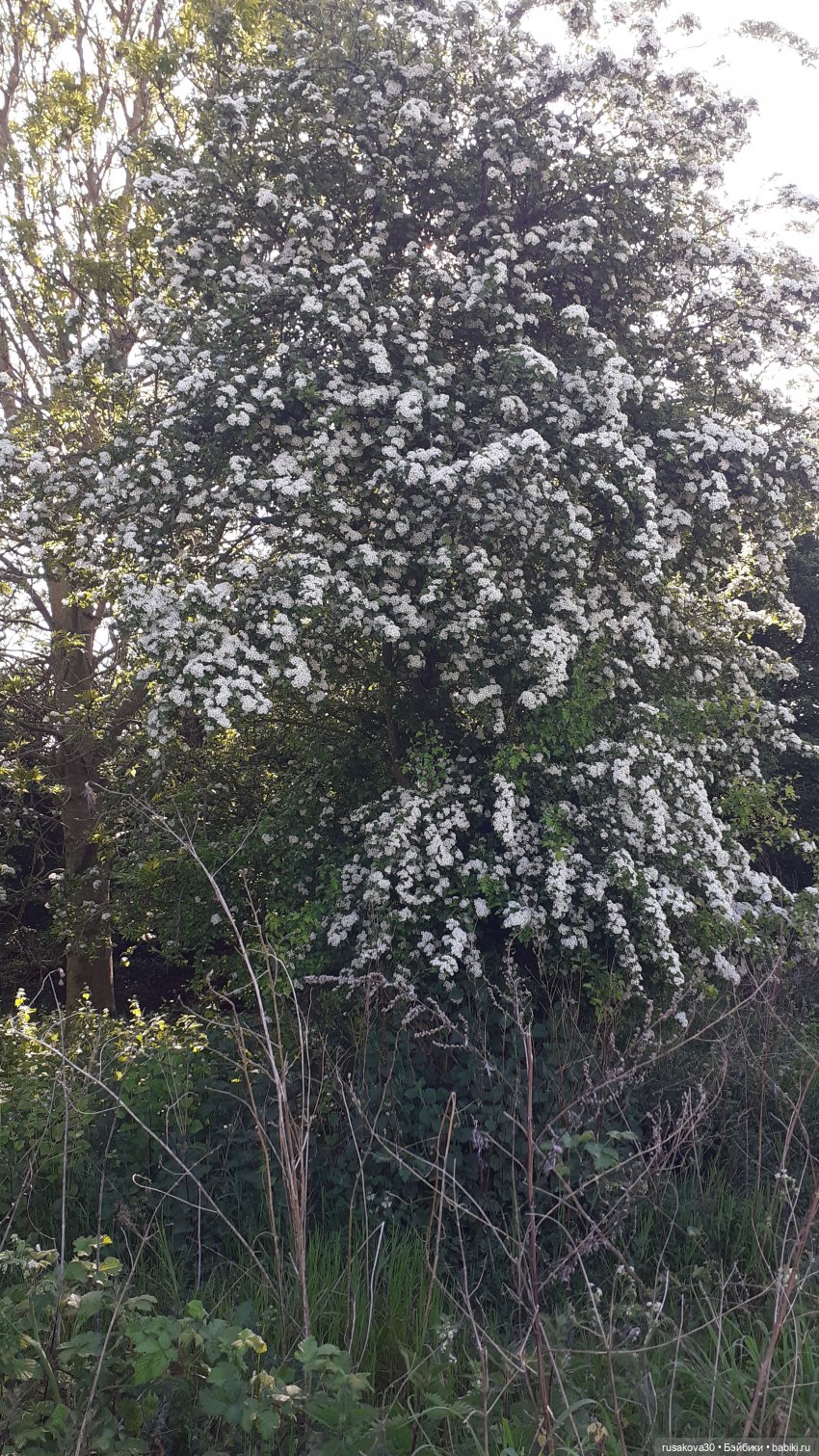 Радуга — символ надежды — Авторские мишки Тедди и друзья: фото (фото 7)
