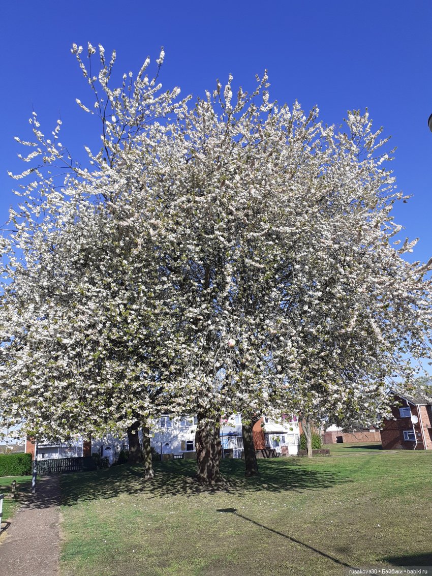 Радуга — символ надежды — Авторские мишки Тедди и друзья: фото (фото 8)