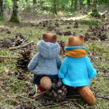 В лес, за рододендронами