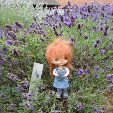 Лаванда и Бася