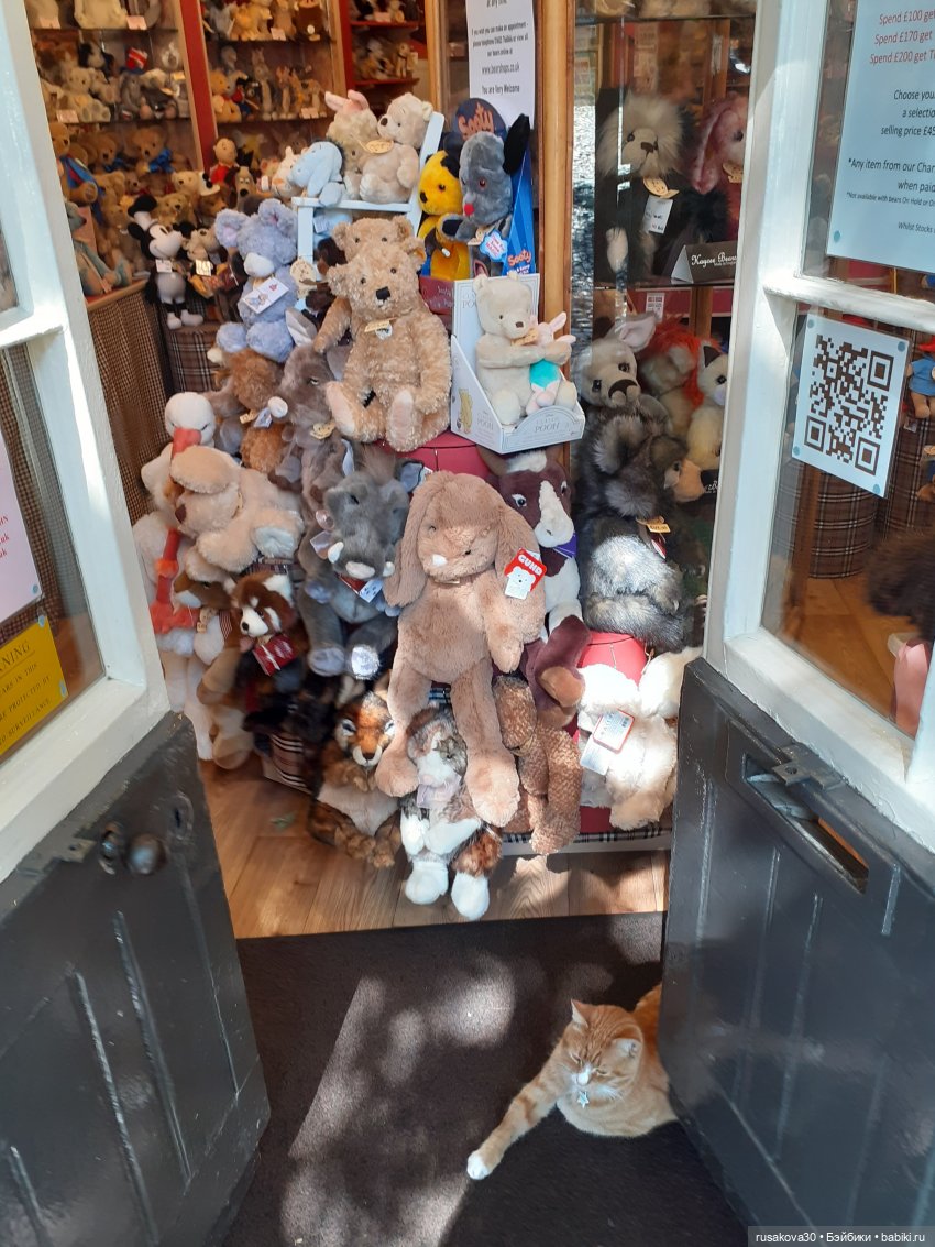 Рыжики осматривают Норвидж (продолжение)