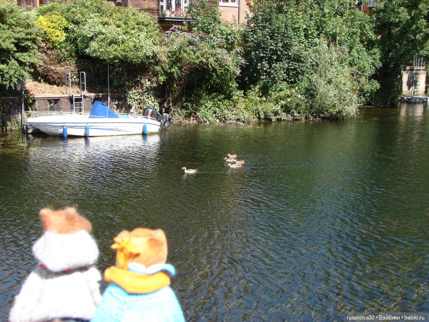 Рыжики осматривают Норвидж (продолжение) (фото 9)