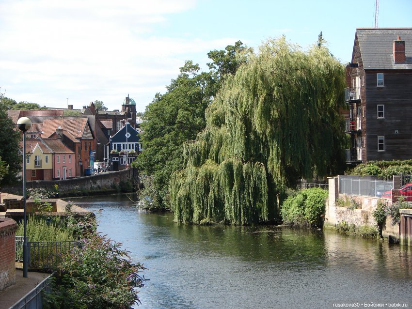 Рыжики осматривают Норвидж (продолжение) (фото 6)