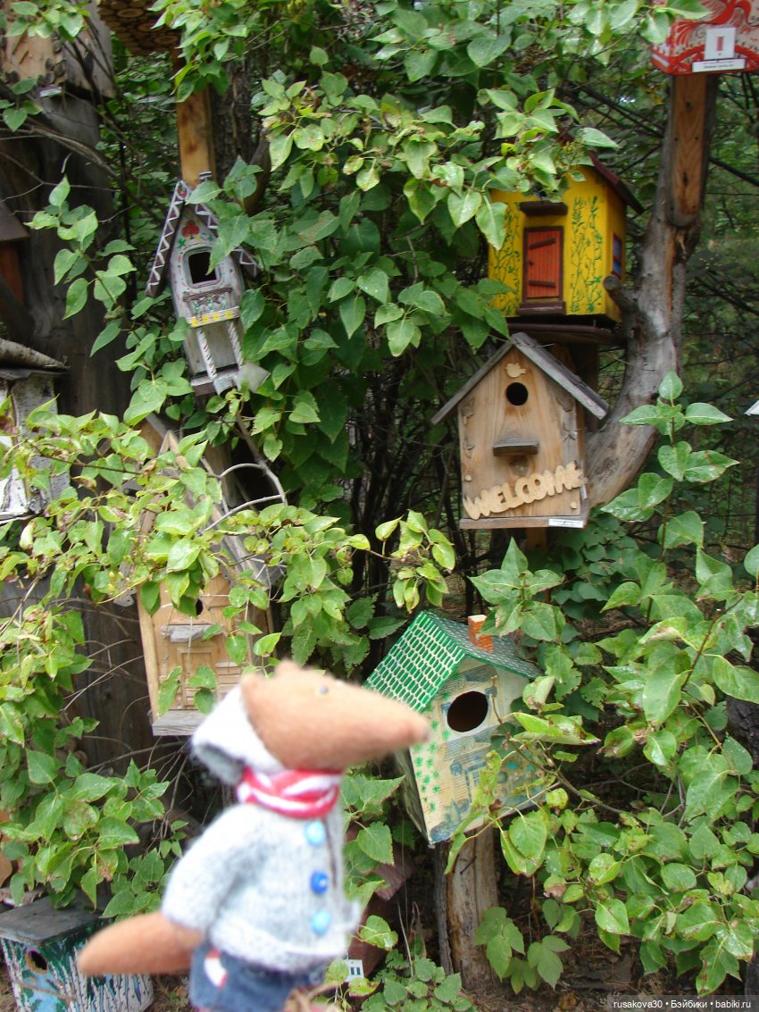 Рыжики продолжают знакомится с Новосибирском (фото 3)