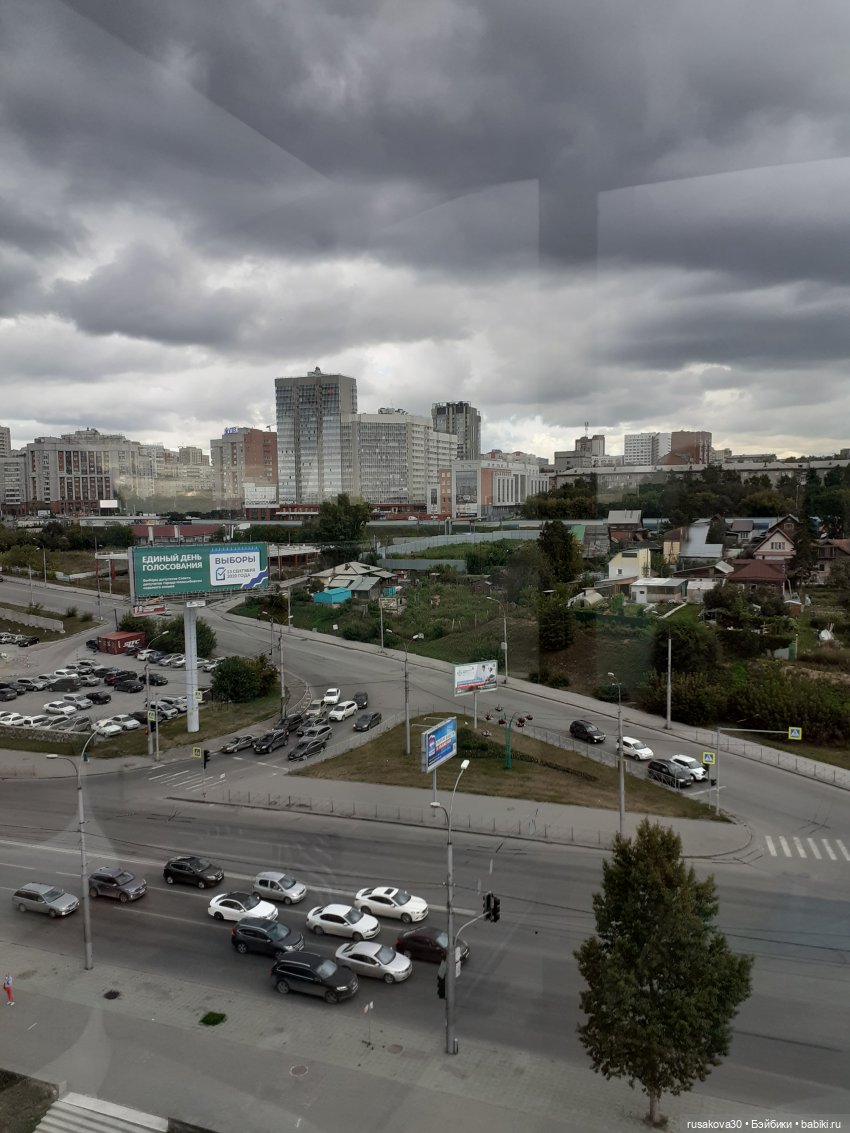 Рыжики летят в Новосибирск