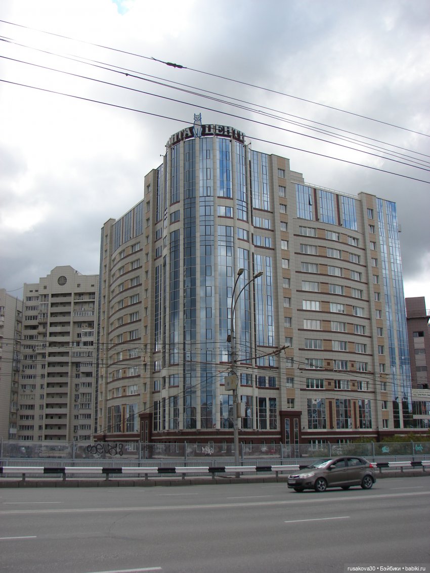 Рыжики летят в Новосибирск